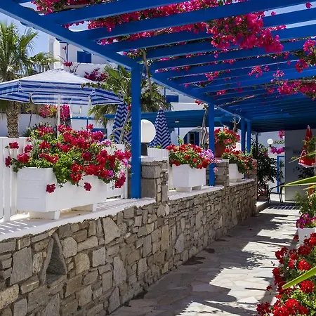 Manis Hotel Naousa (Paros)