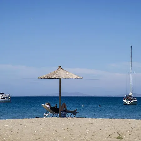 Ξενοδοχείο Manis Νάουσα